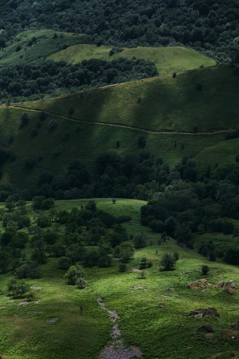À propos damien dufour f4uawbgdorc unsplash