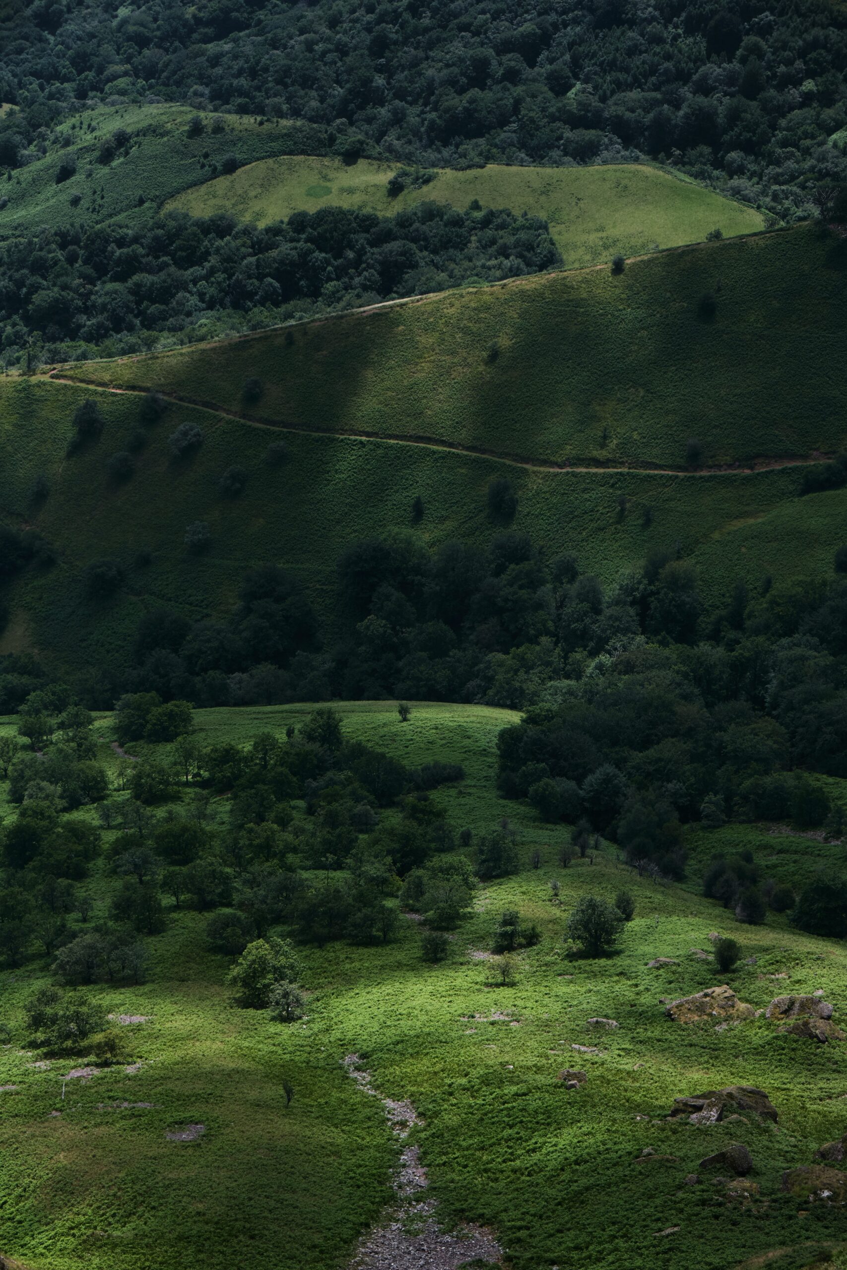 À propos damien dufour f4uawbgdorc unsplash